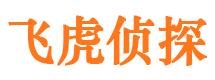 襄城外遇调查取证